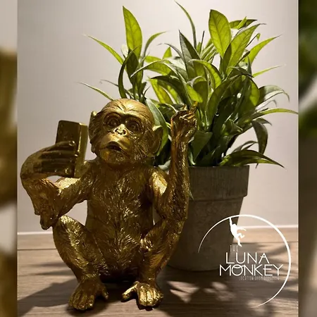 Luna Monkey, & Terrasse Privee, Centre 게스트하우스