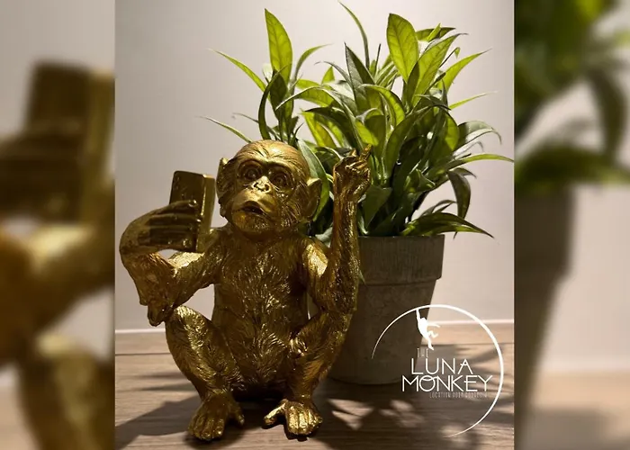 Luna Monkey, & Terrasse Privee, Centre Penzion